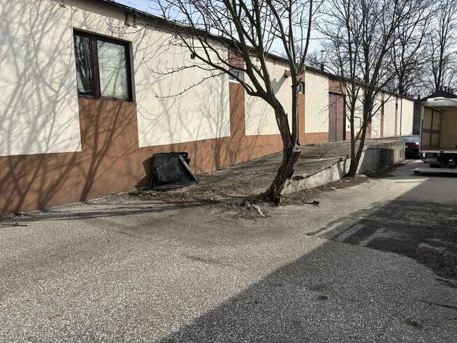 Budynek handlowo-usługowy 290 m², Pińczów