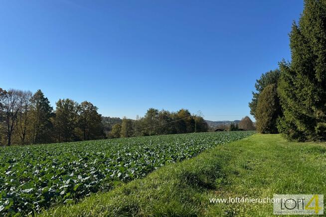 Działka budowlana Tuchów, Ryglicka