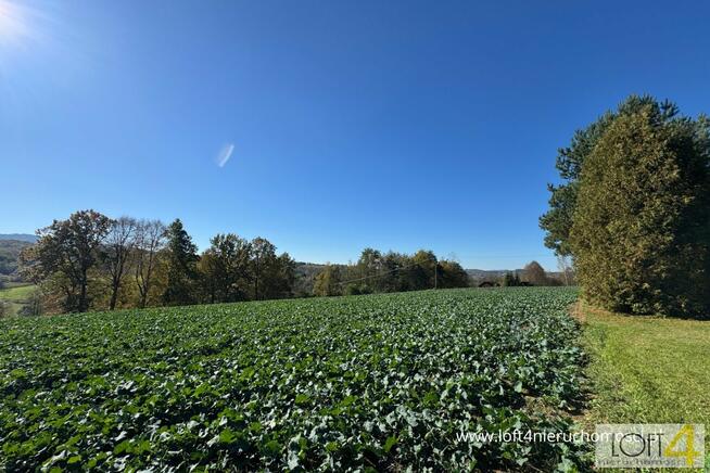 Działka budowlana Tuchów, Ryglicka