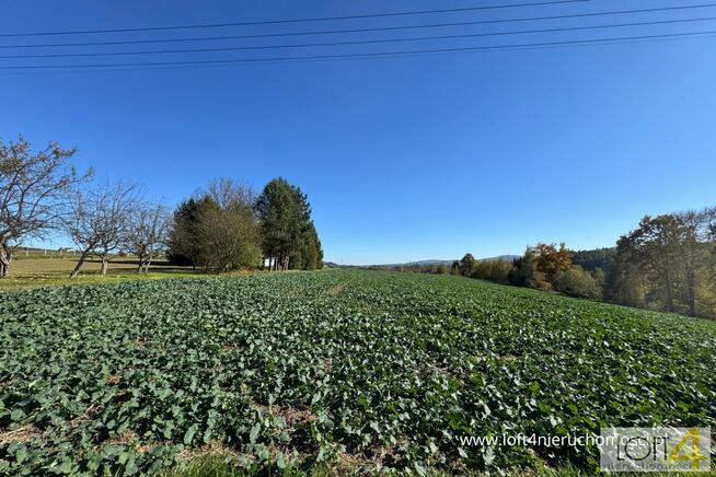 Działka budowlana Tuchów, Ryglicka