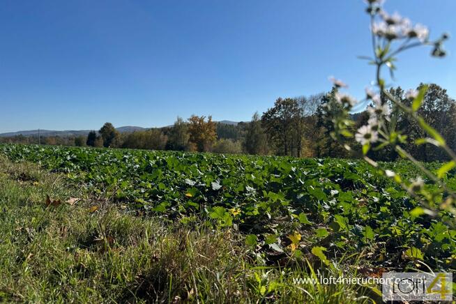 Działka budowlana Tuchów, Ryglicka