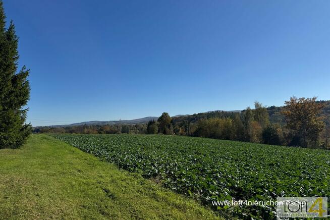 Działka budowlana Tuchów, Ryglicka