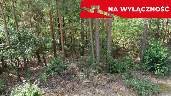 Działka 800 m2 w Woli Chodkowskiej Warszawa 85 km.