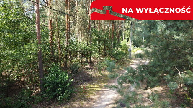 Działka 800 m2 w Woli Chodkowskiej Warszawa 85 km.