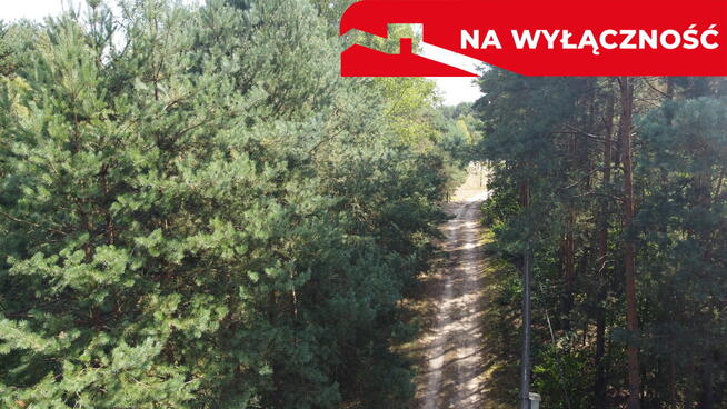 Działka 800 m2 w Woli Chodkowskiej Warszawa 85 km.