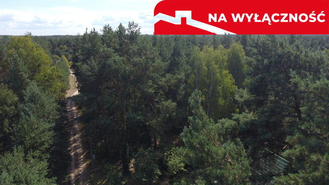 Działka 800 m2 w Woli Chodkowskiej Warszawa 85 km.