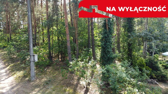 Działka 800 m2 w Woli Chodkowskiej Warszawa 85 km.