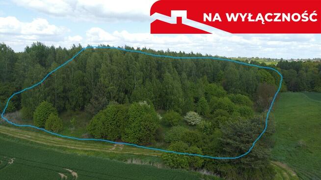 Działka 2,15 ha z potencjałem koło Nałęczowa.