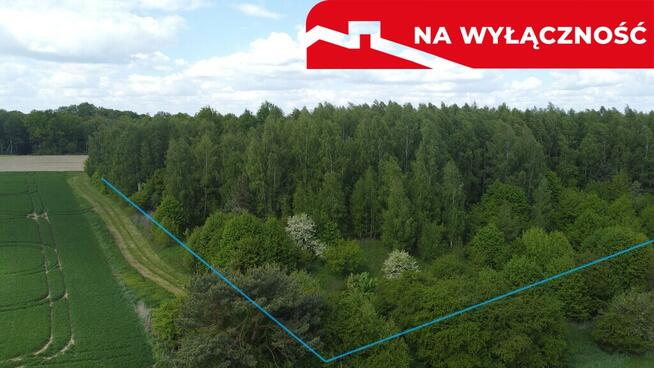 Działka 2,15 ha z potencjałem koło Nałęczowa.