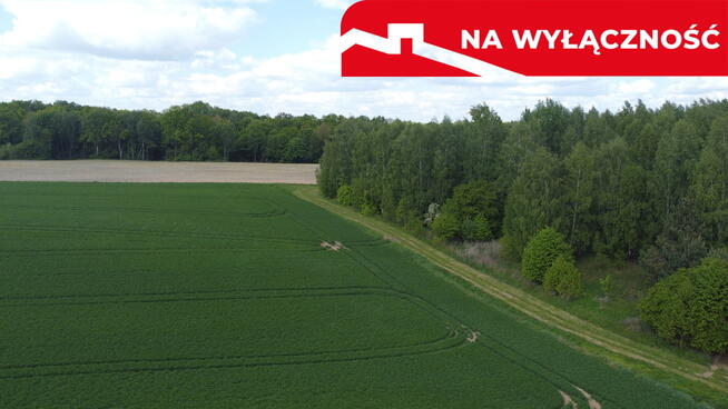Działka 2,15 ha z potencjałem koło Nałęczowa.