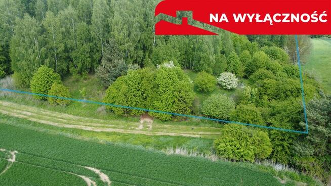 Działka 2,15 ha z potencjałem koło Nałęczowa.