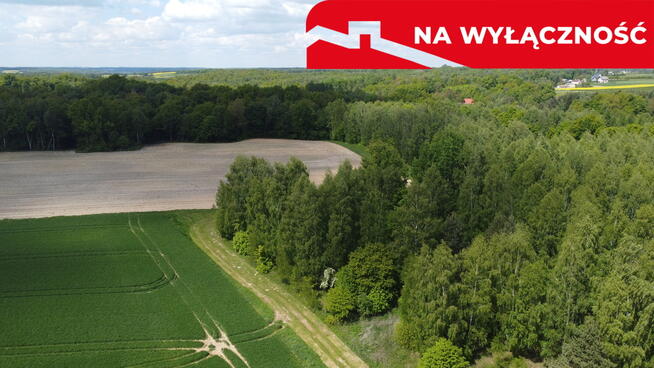 Działka 2,15 ha z potencjałem koło Nałęczowa.