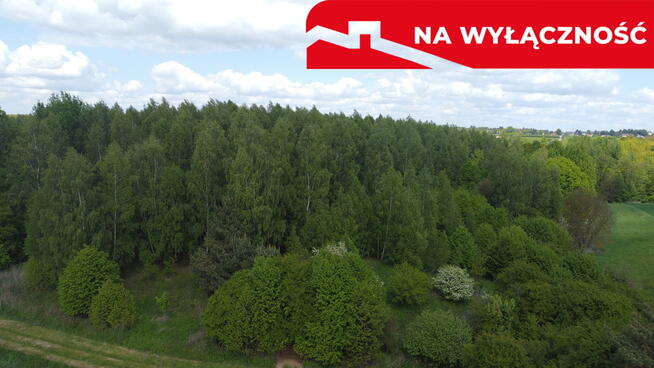 Działka 2,15 ha z potencjałem koło Nałęczowa.