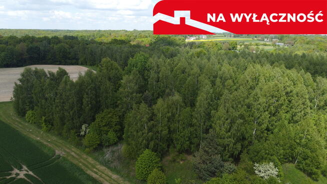 Działka 2,15 ha z potencjałem koło Nałęczowa.