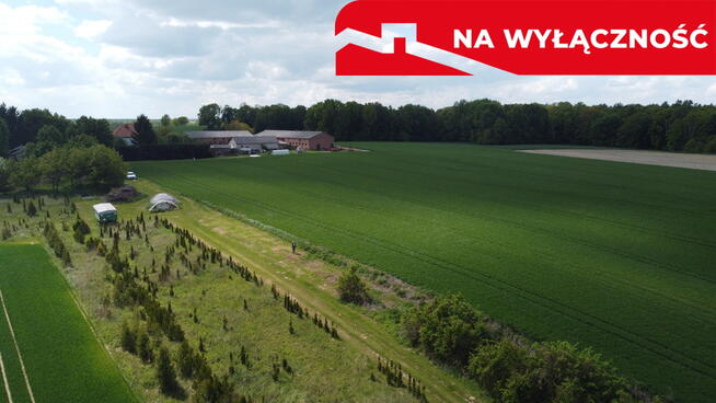 Działka 2,15 ha z potencjałem koło Nałęczowa.