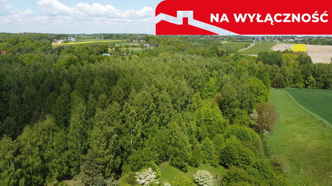 Działka 2,15 ha z potencjałem koło Nałęczowa.