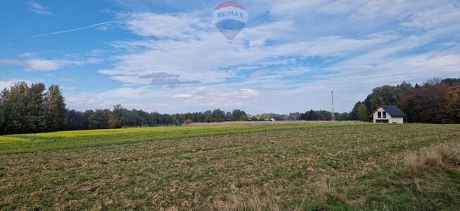 " Działka rolna i las w gratisie "