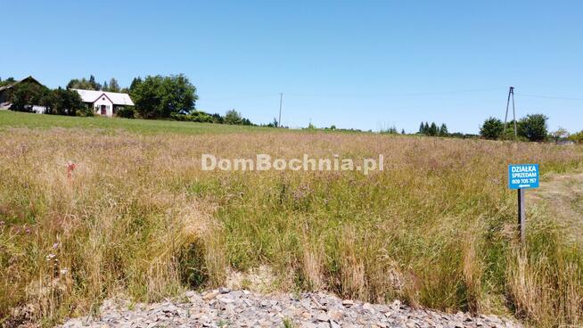 Działka budowlana Olchawa gm. Nowy Wiśnicz