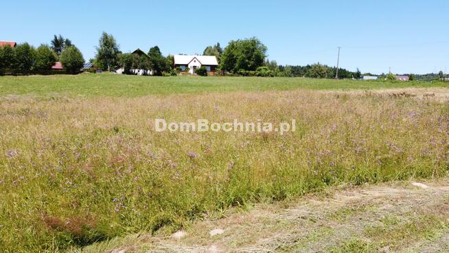 Działka budowlana Olchawa gm. Nowy Wiśnicz