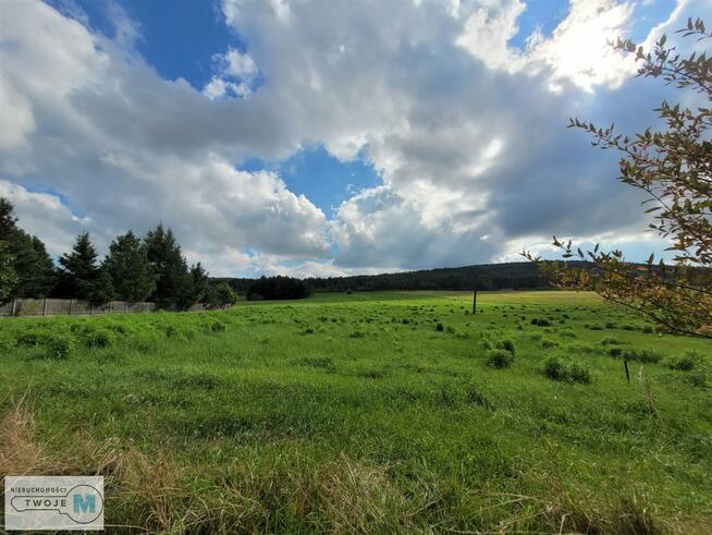 Dom Masłów gm. Masłów Ciekoty