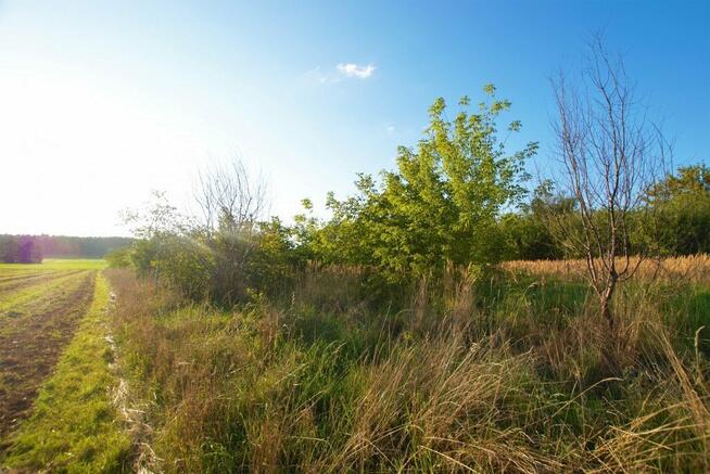 Działka Kielce Leśniówka