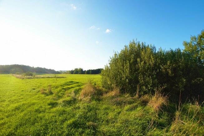 Działka Kielce Leśniówka