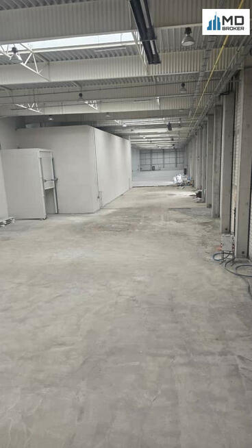 Lokal użytkowy Łódź gm. Łódź-Bałuty Bałuty,