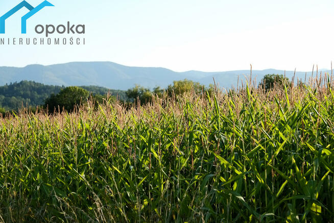 Działka budowlana Puńców gm. Goleszów