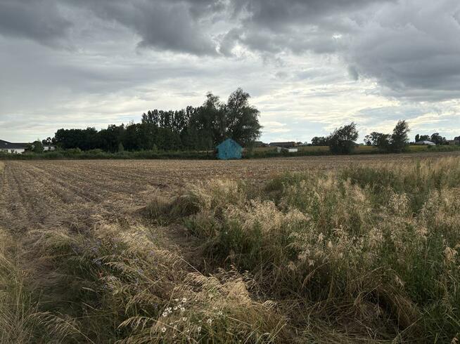 Działka przemysłowa Łubowo Rzegnowo, Rzegnowo