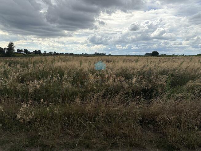 Działka przemysłowa Łubowo Rzegnowo, Rzegnowo