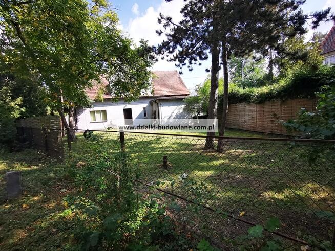 Wydzierżawię działkę w sercu osiedla