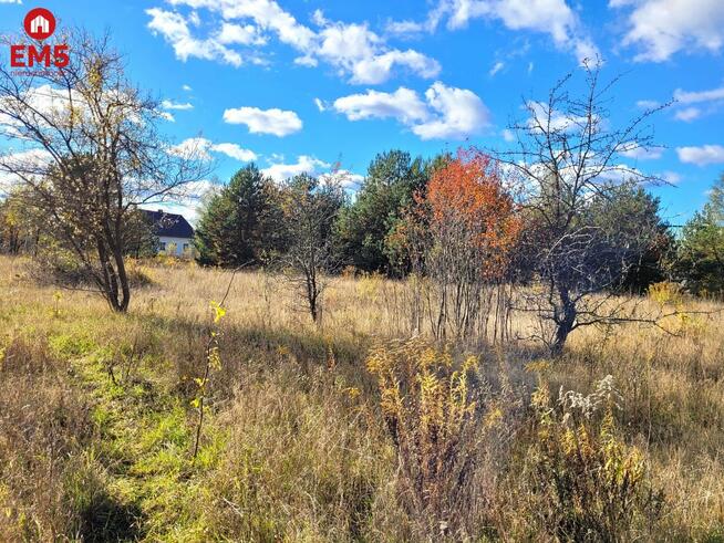 Działka Sowlany gm. Grabówka