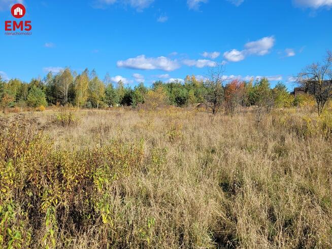 Działka Sowlany gm. Grabówka