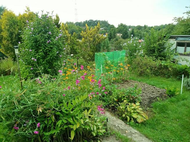 Sprzedam działkę rekreacyjną ROD IRYS