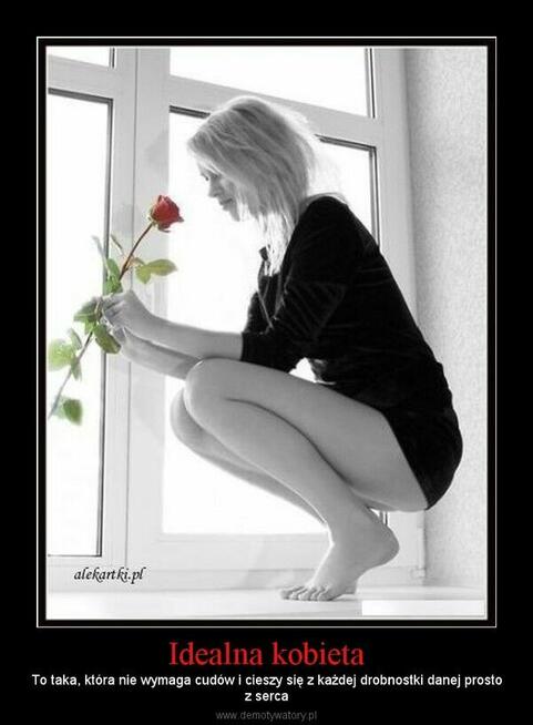 Dyskretna towarzyszka Kocica