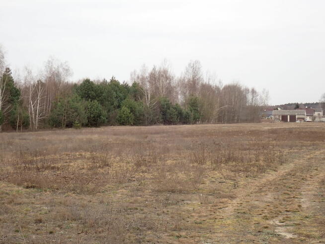 Udział w nieruchomości gruntowej - Nadma 1391/8, 1391/10