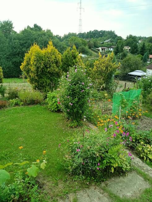 Sprzedam działkę rekreacyjną ROD IRYS