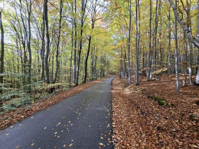 Działka Wojakowa bez pośredników – 68 arów rolno-inwest.
