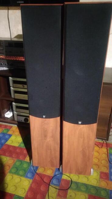 Kolumny Wilson cinematic 5.0