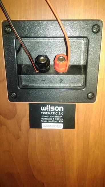 Kolumny Wilson cinematic 5.0