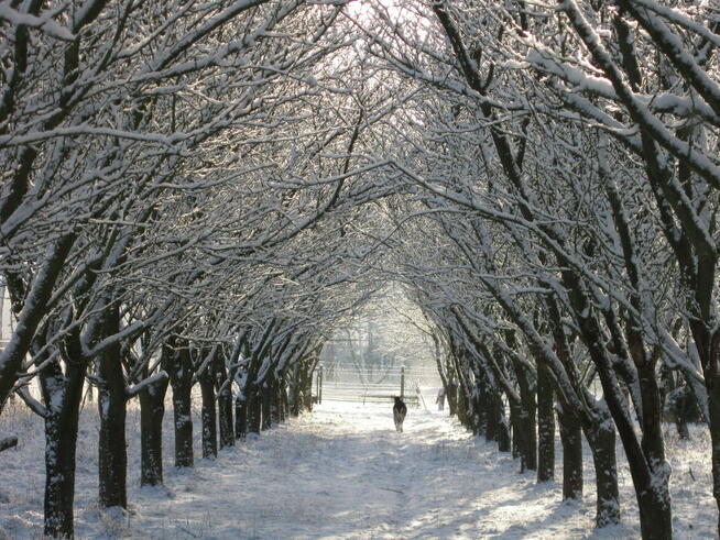 Działka budowlano-rekreacyjna Jarszewo