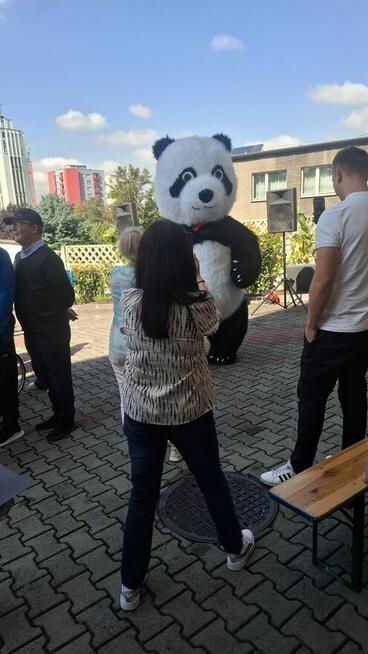 Animacje żywe maskotki misie na wynajem urodziny Wesela 2.6M