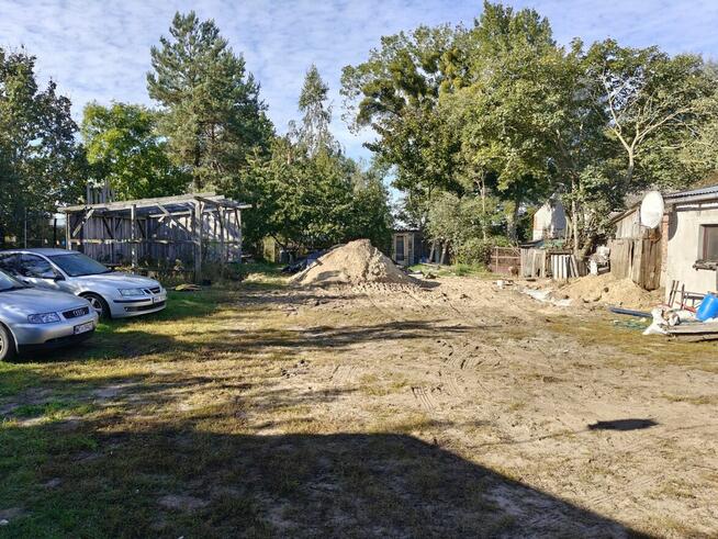 Syndyk sprzeda - Raki