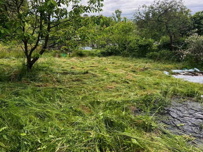 Działka ROD Elbląg