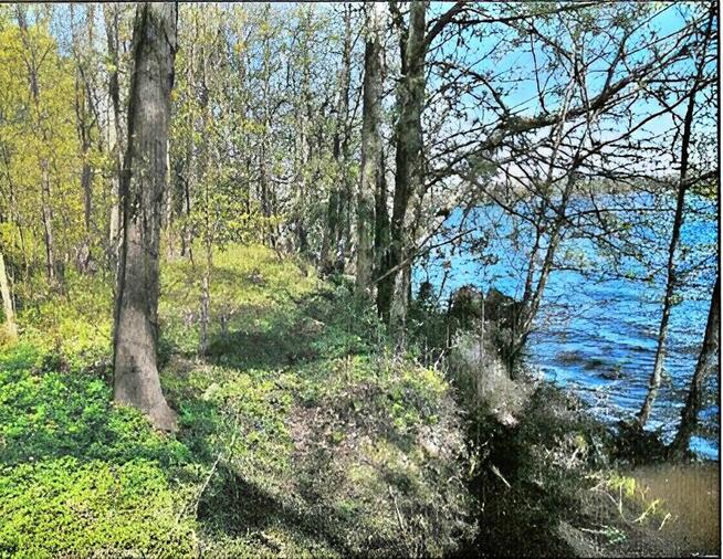 Działka z linią brzegową i WZ!