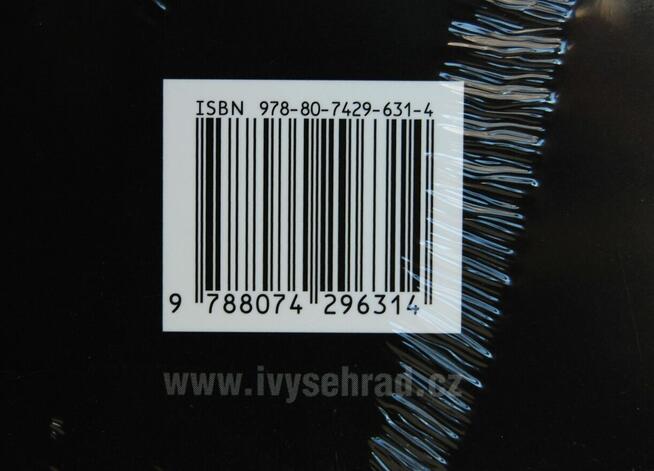 Češi a Slováci ve 20 století. Jan Rychlík, książka j. czeski