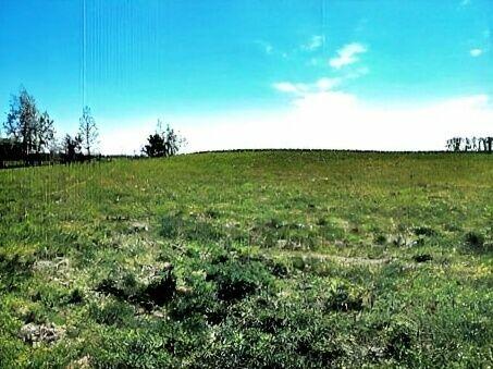 Działka z linią brzegową i WZ!