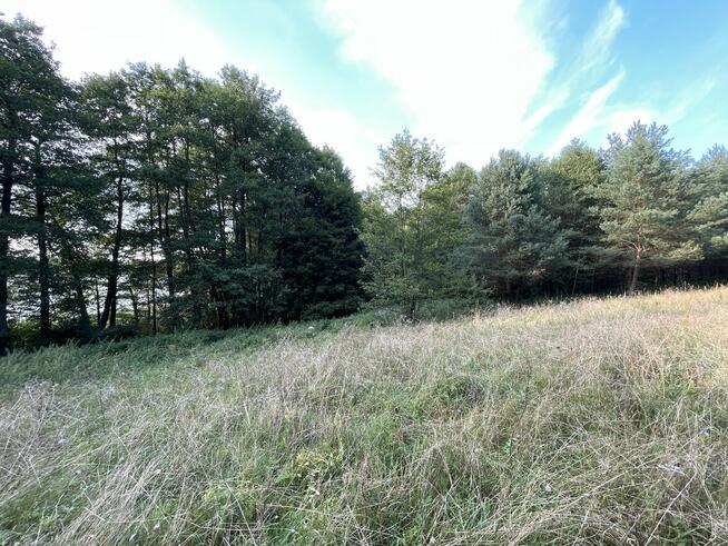 Dzialka inwestycyjna z linią brzegową!