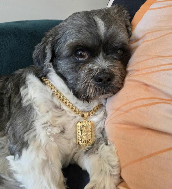 Łańcuchu złoty unikat