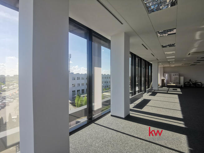 Lokal użytkowy Poznań gm. Poznań-Stare Miasto Winogrady, Obornicka